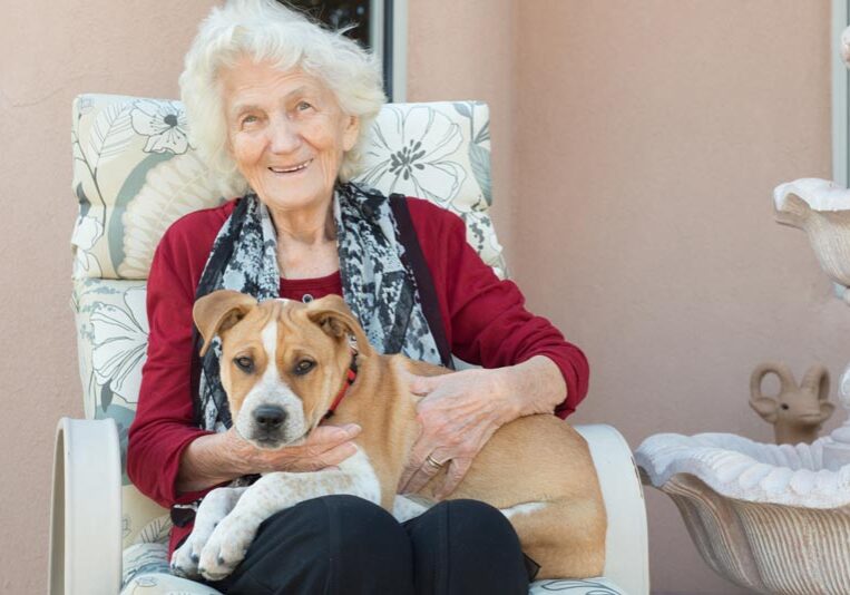 Dogs helping aged care blog artwork | Elderly women with brown dog